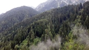 IMG-20140818-WA0033