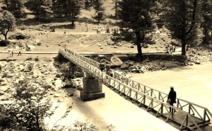IMG_9845