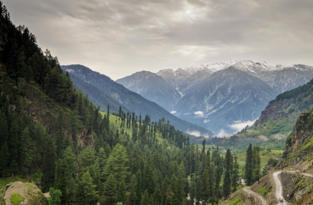 Kashmir