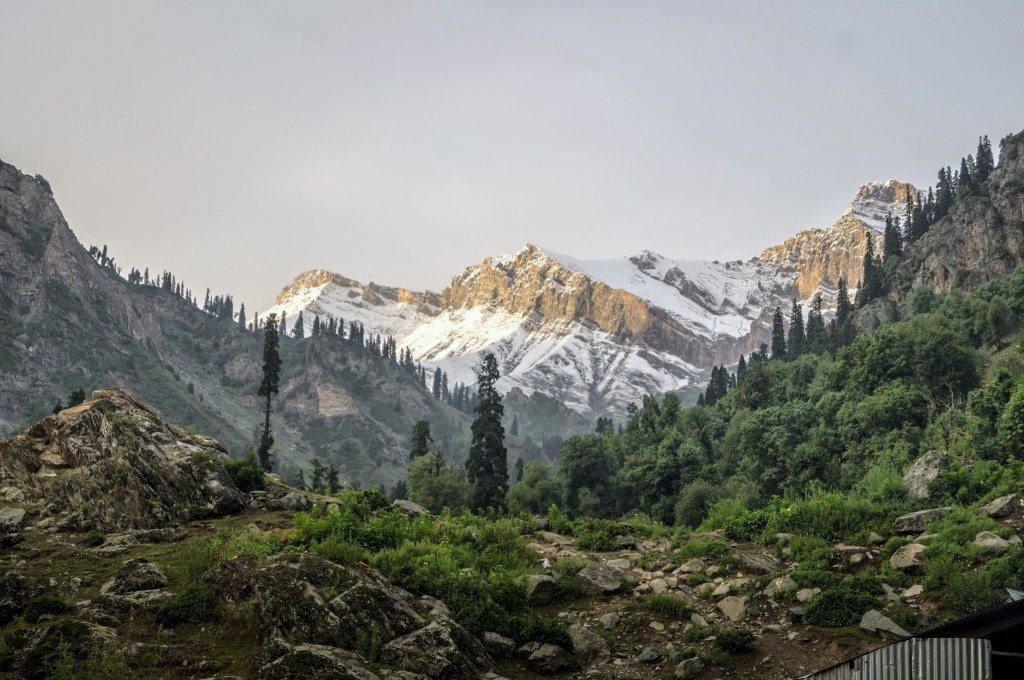 Kashmir