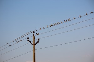 IMG_0482