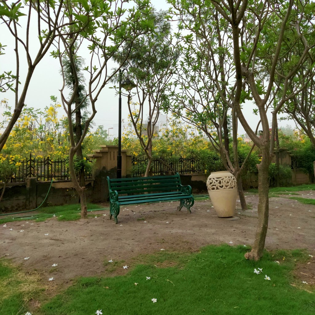 empty bench in a garden