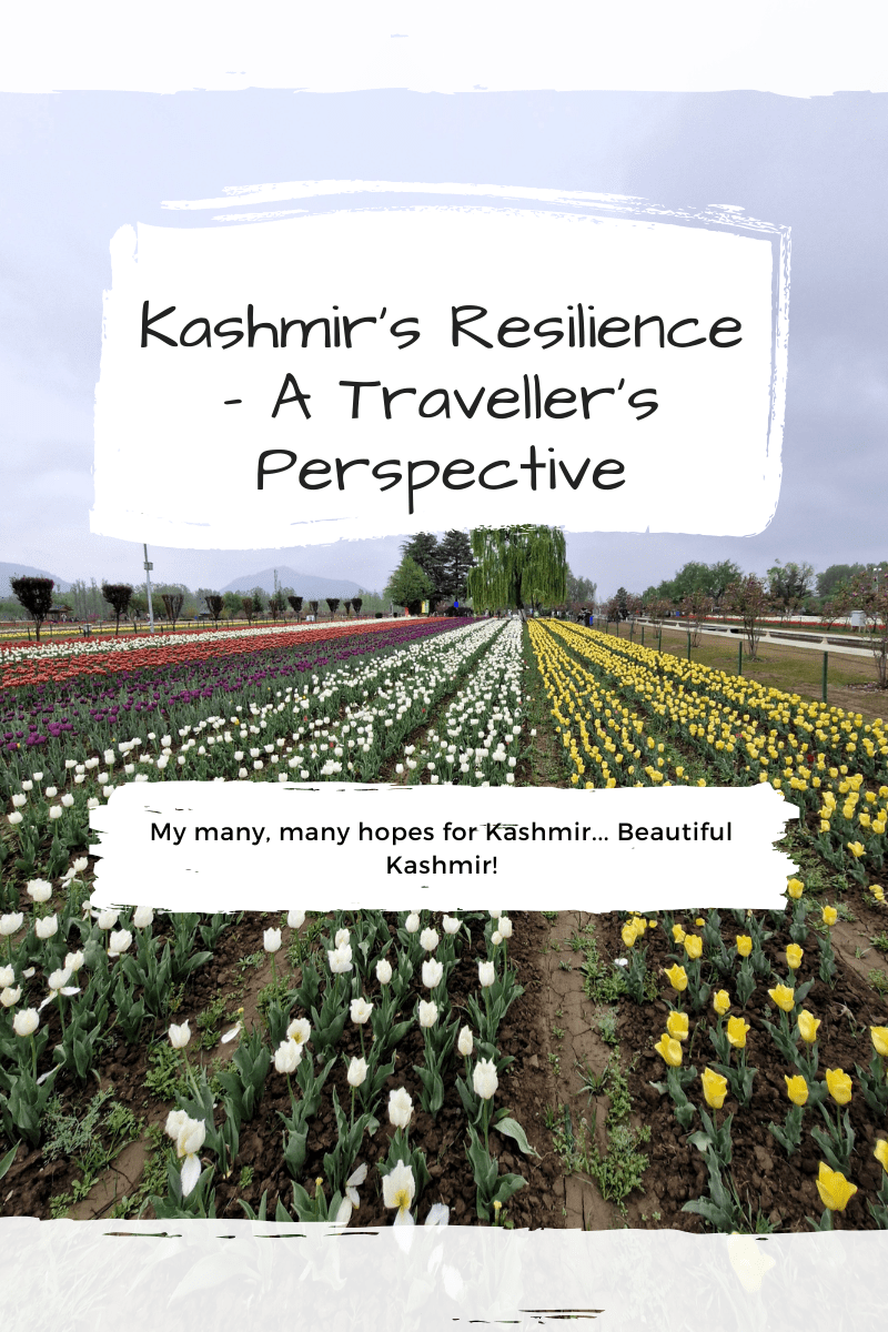 Kashmir's Resilience - A Traveler's Perspective