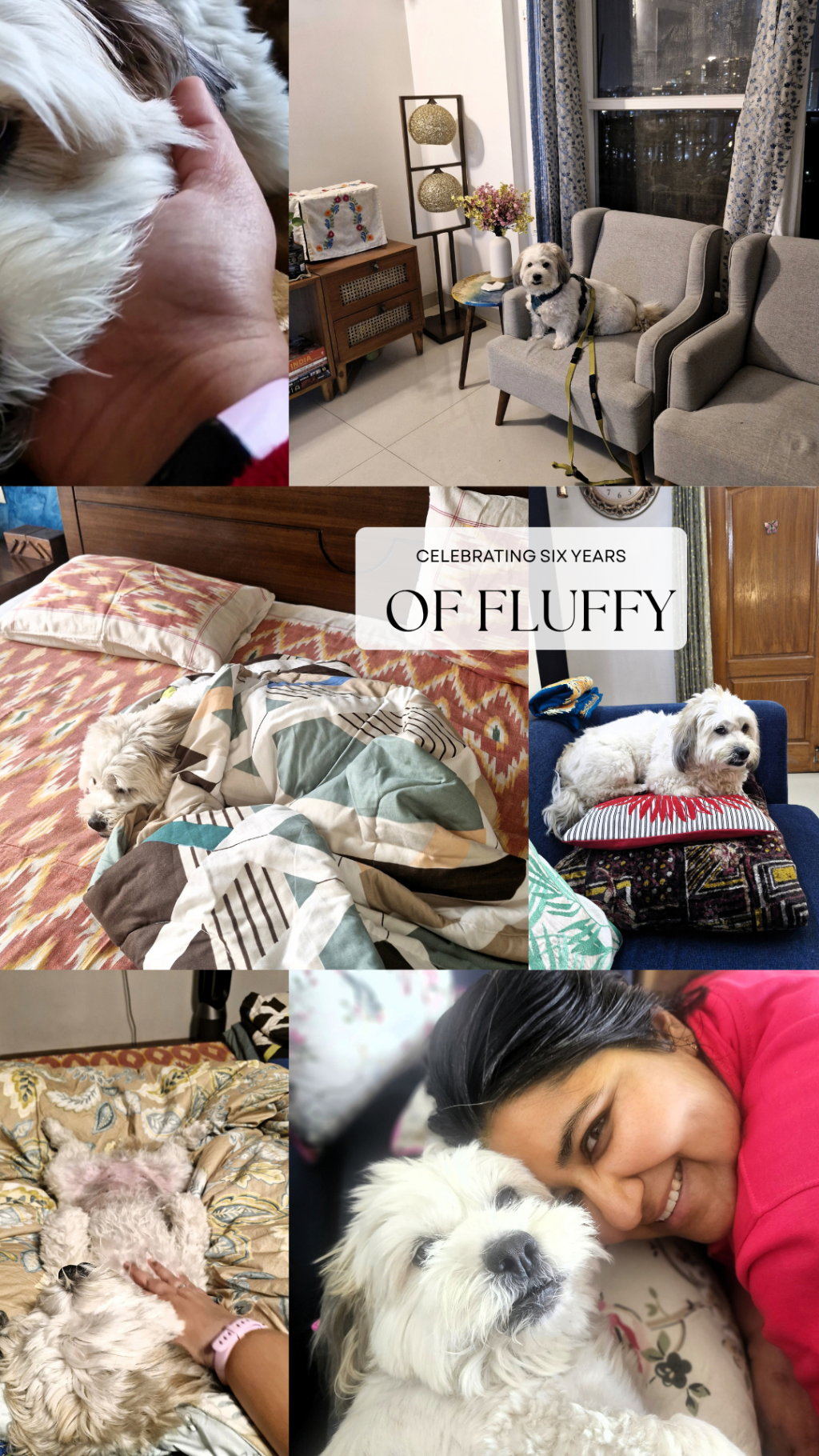 Celebrating Six Years of&nbsp;Fluffy